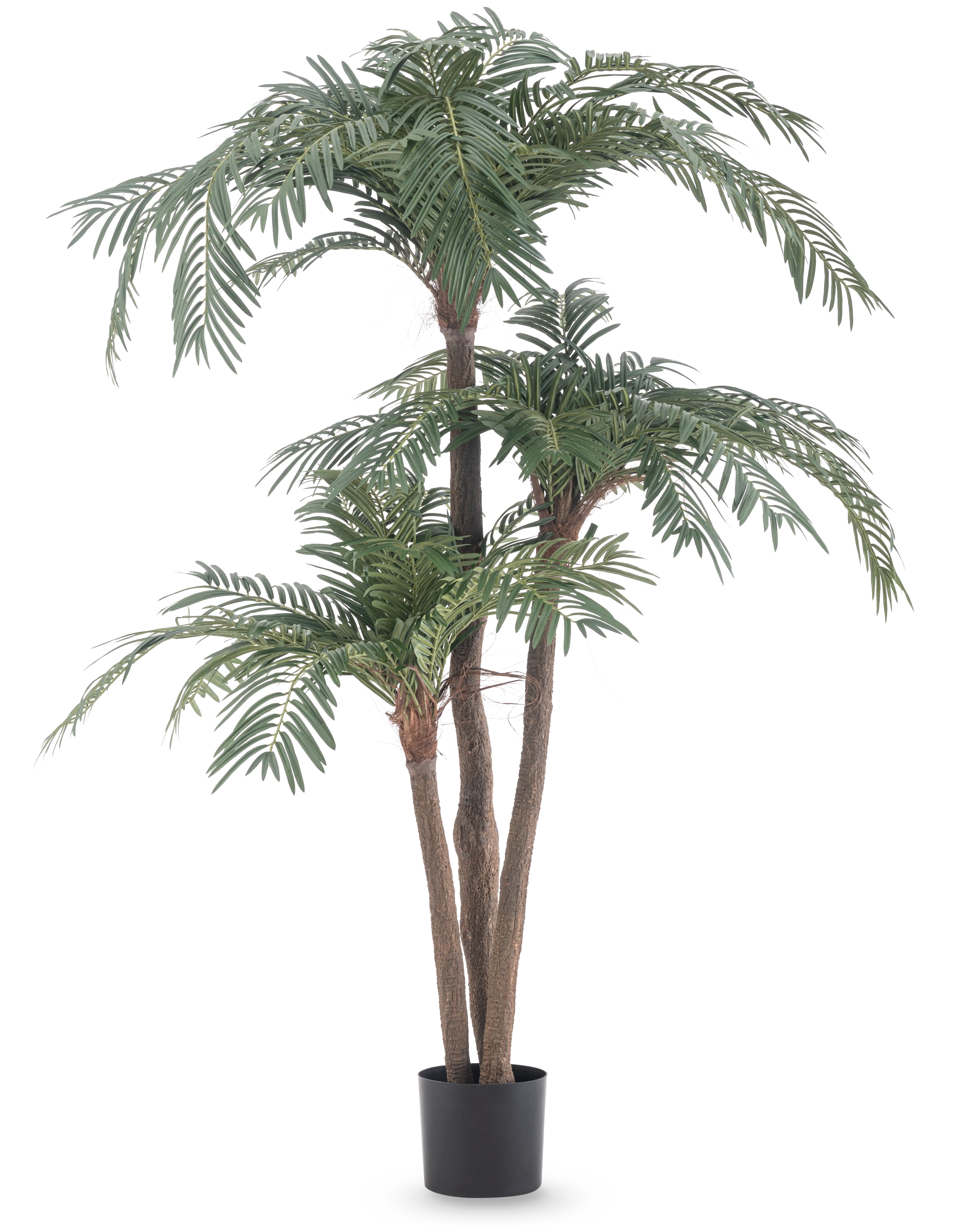 Miniatuur 1