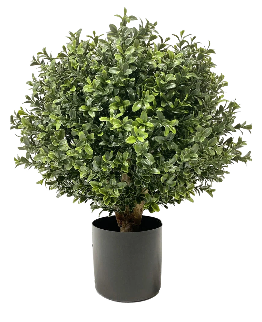 Miniatuur 1