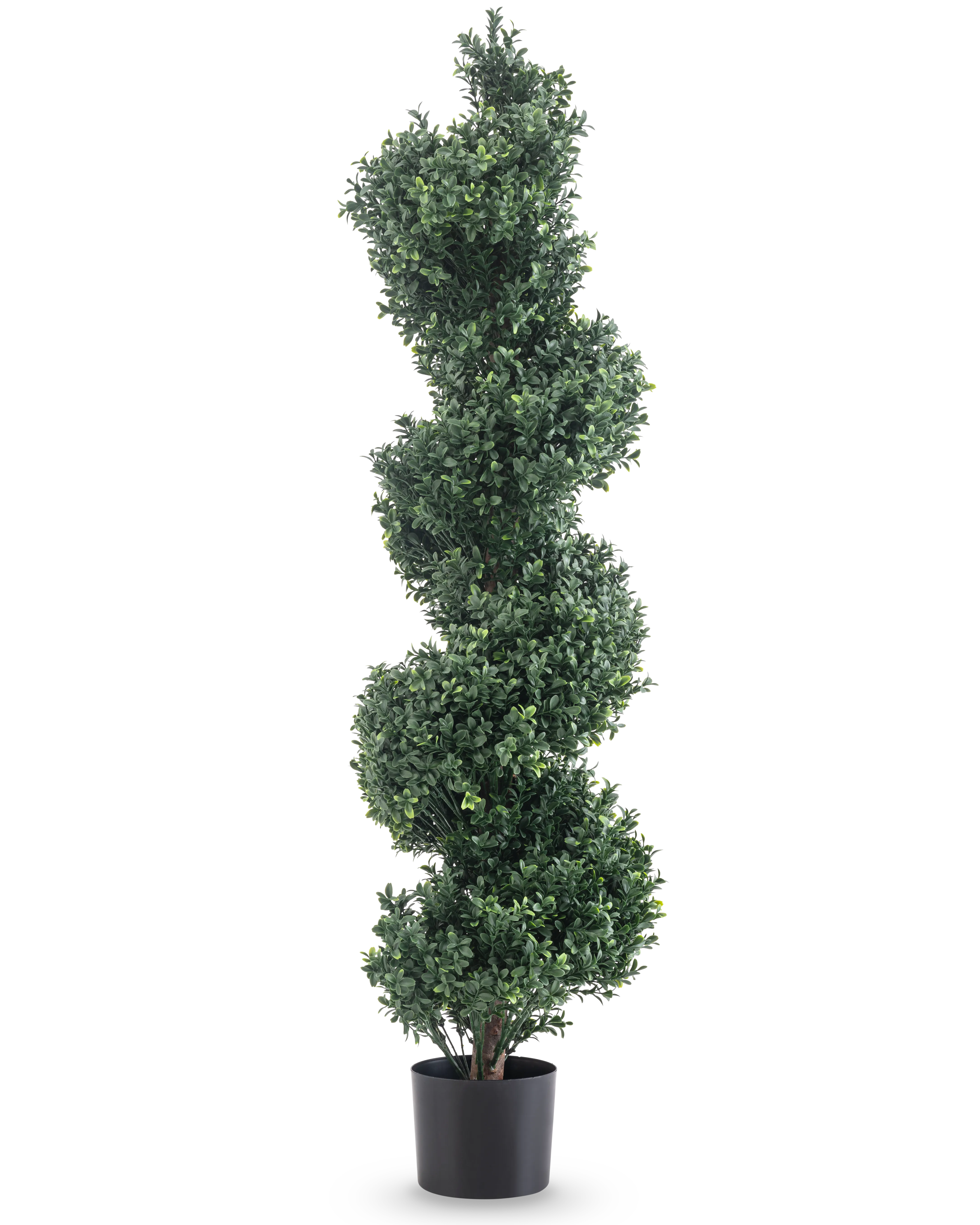 Miniatuur 1