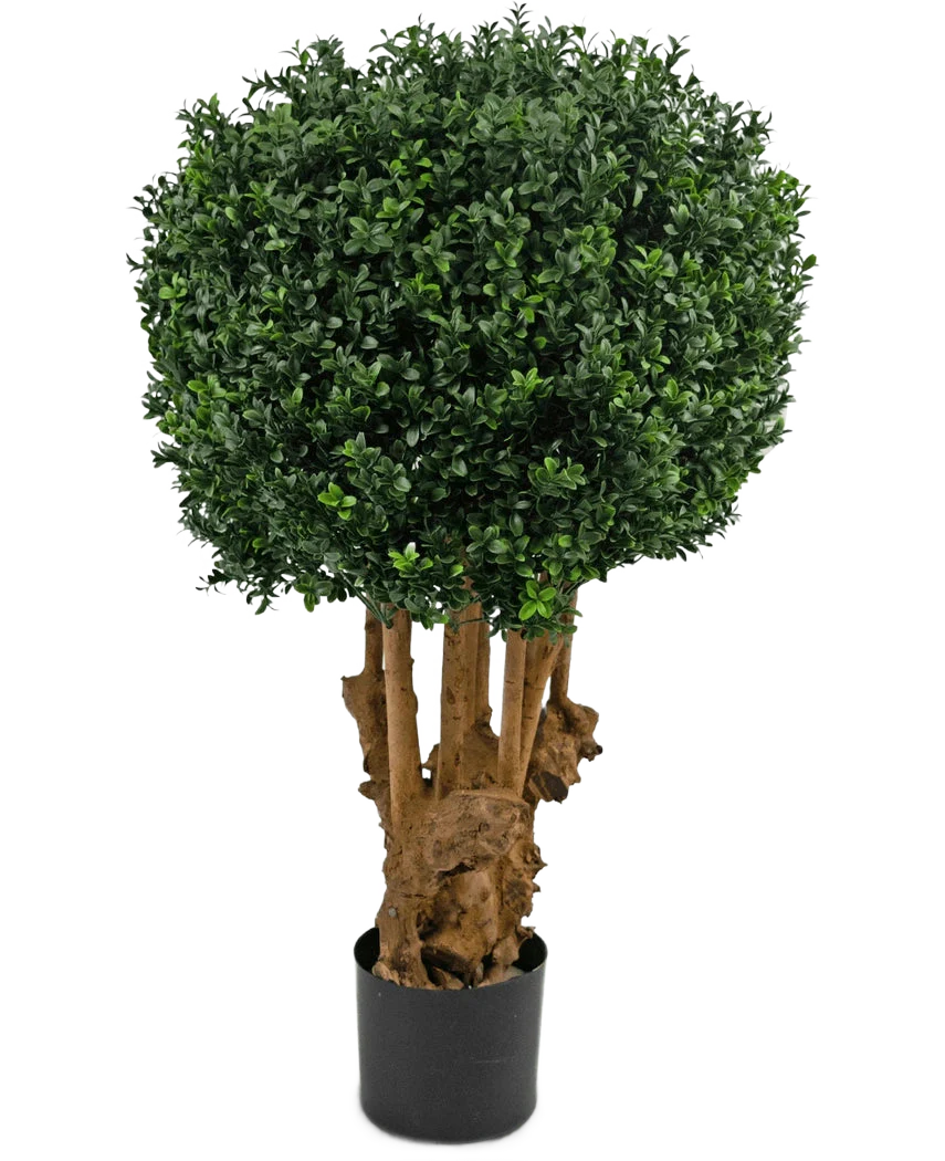 Miniatuur 1