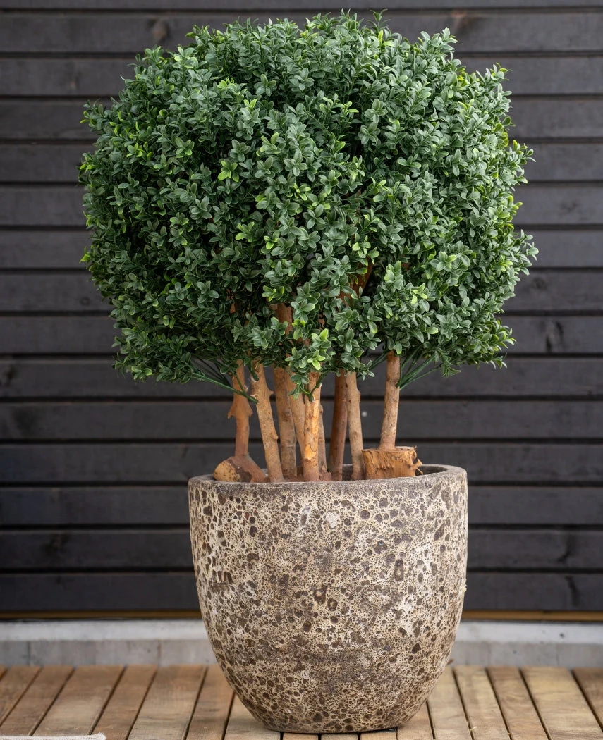 Miniatuur 2