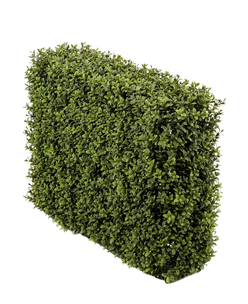 Miniatuur 1