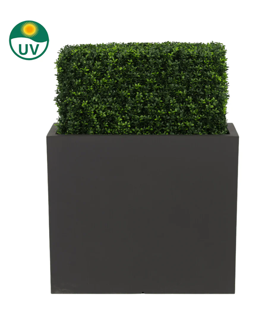 Miniatuur 2