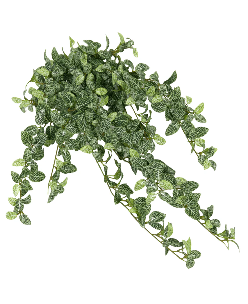 Miniatuur 2