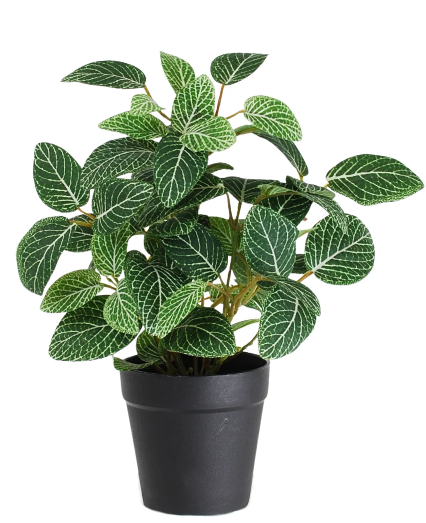 Miniatuur 2