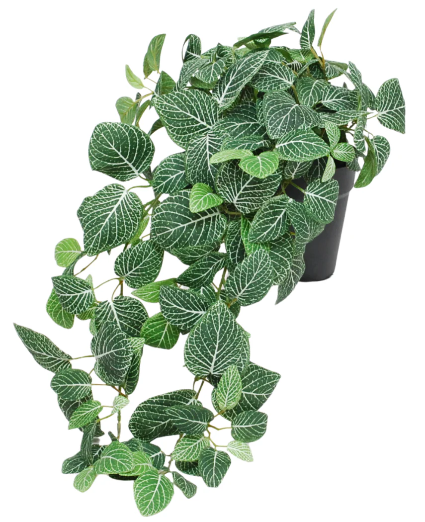 Miniatuur 1