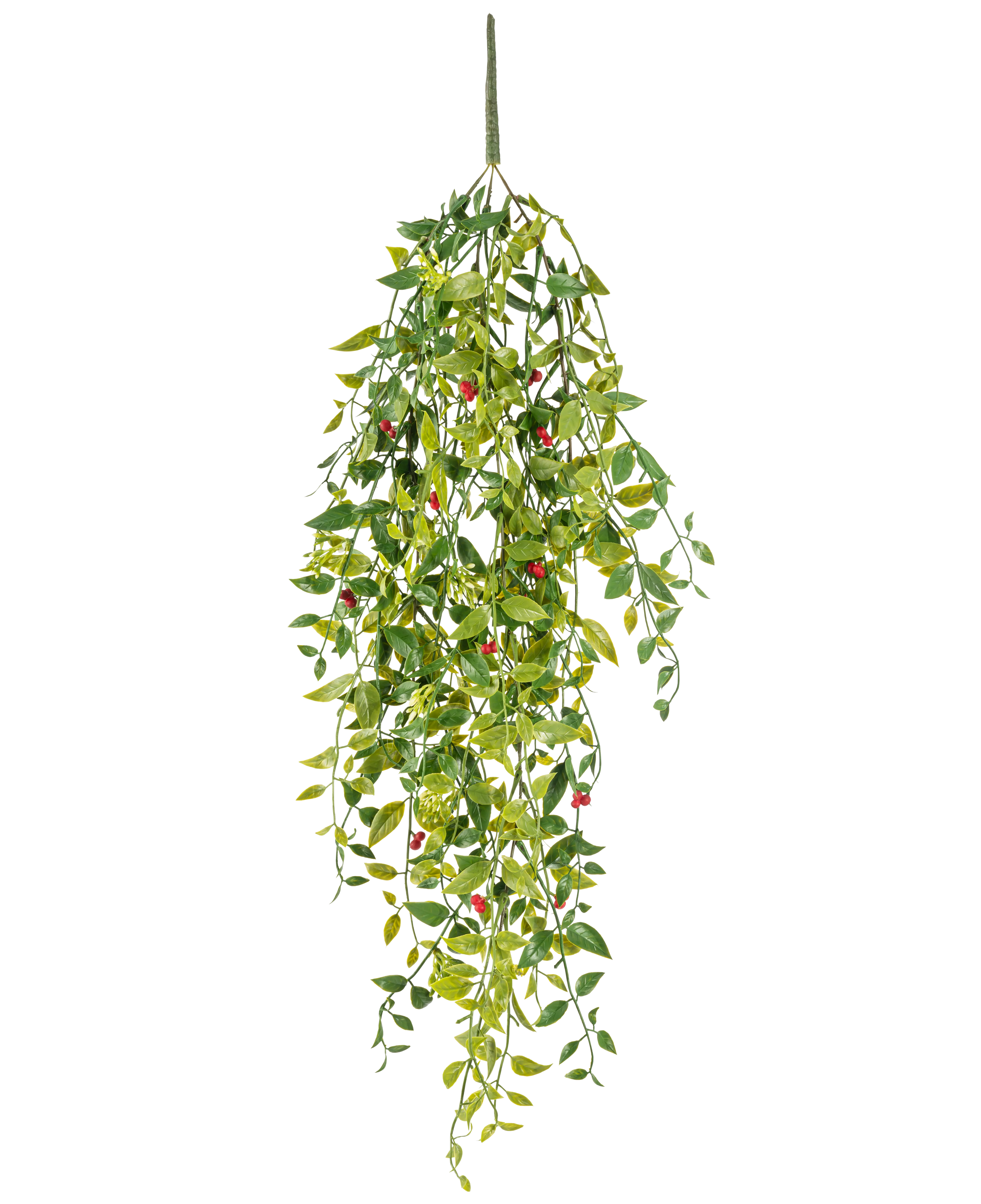 Miniatuur 1