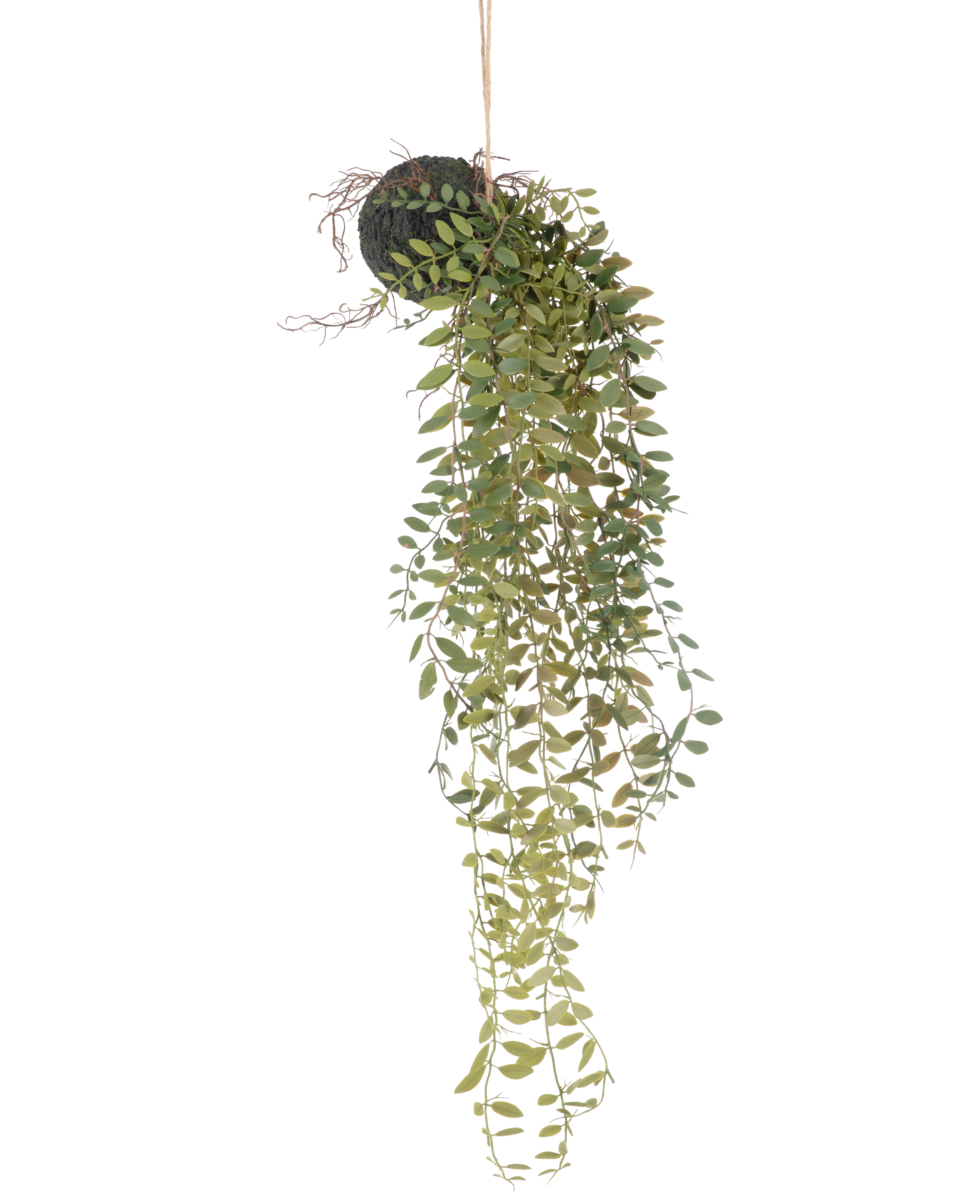 Miniatuur 1