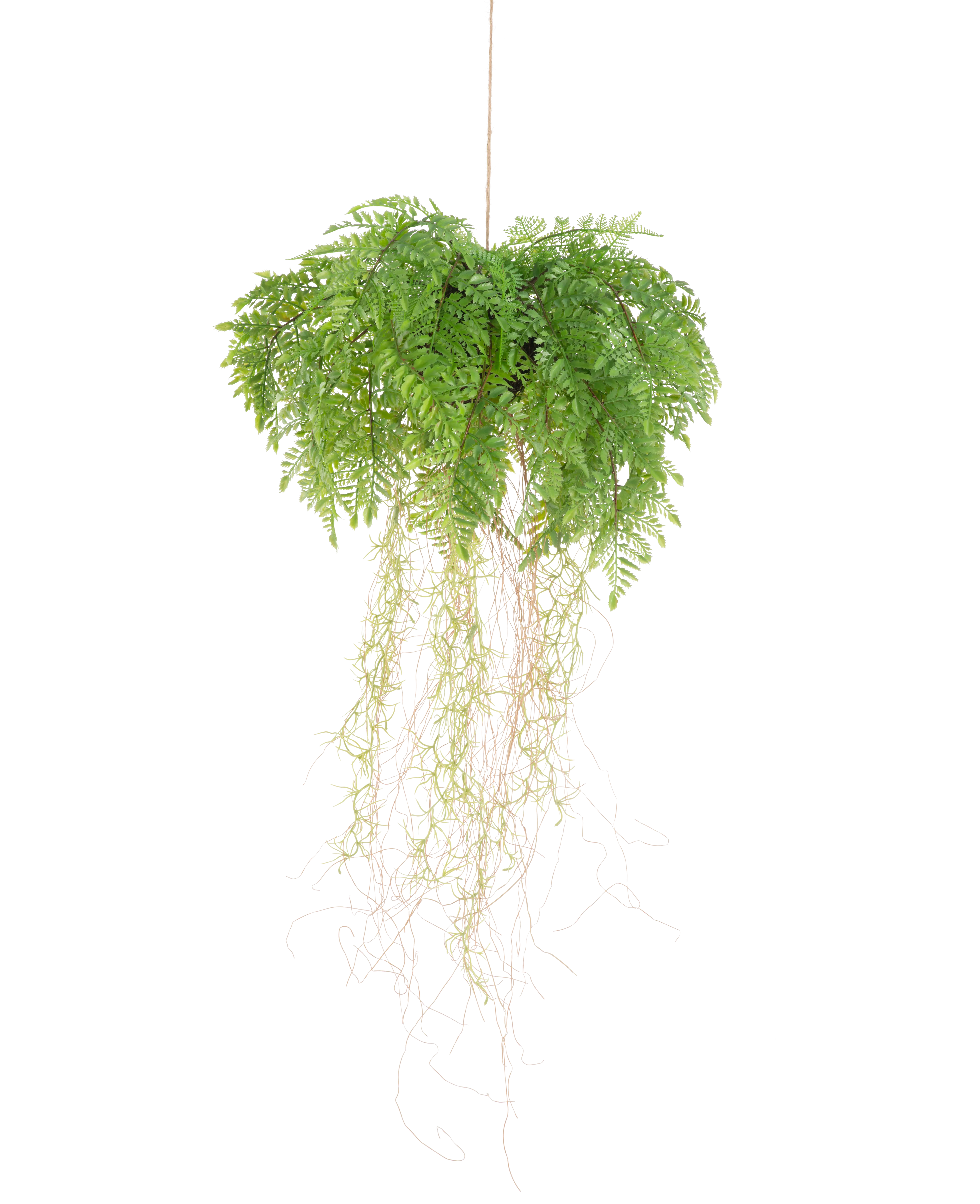 Miniatuur 1