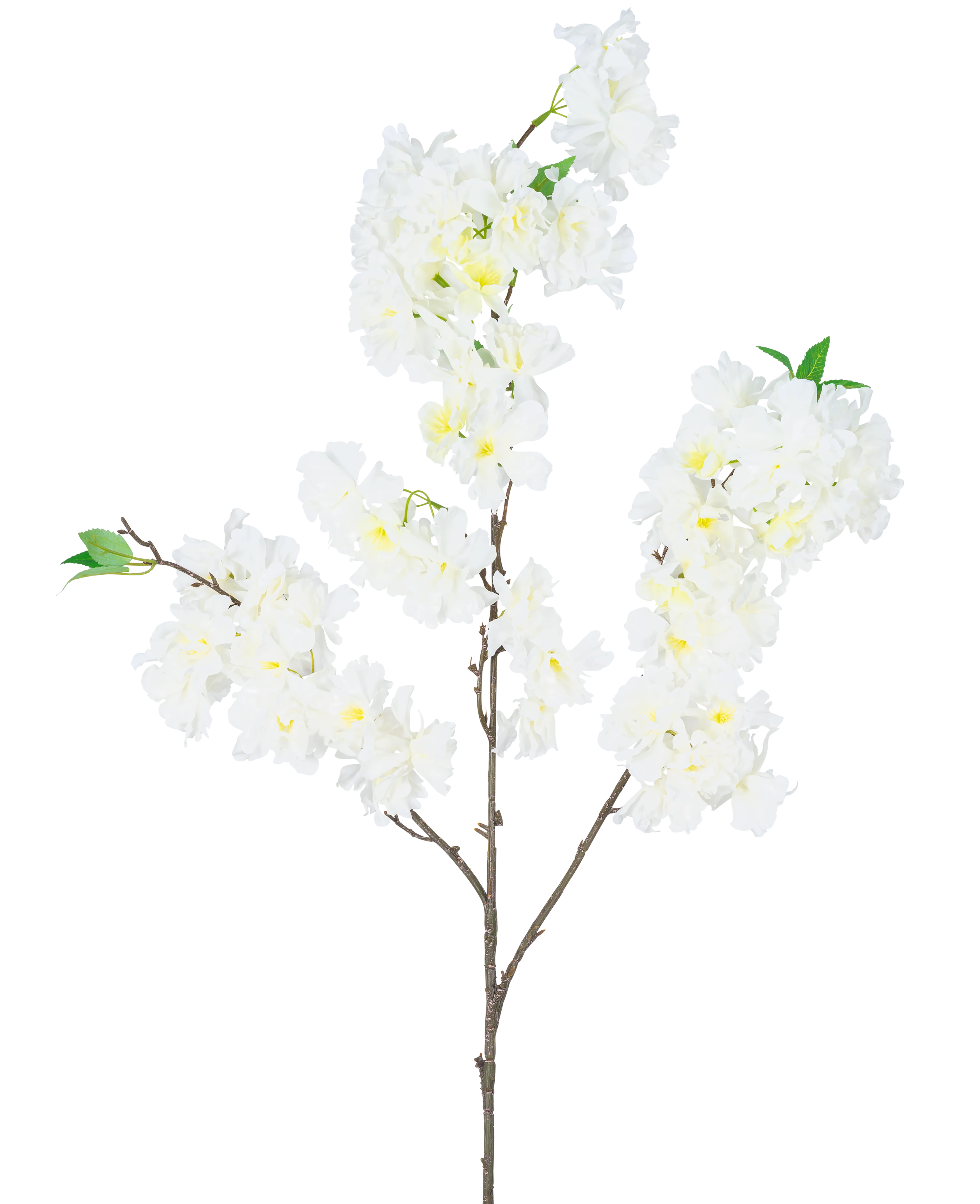 Miniatuur 1