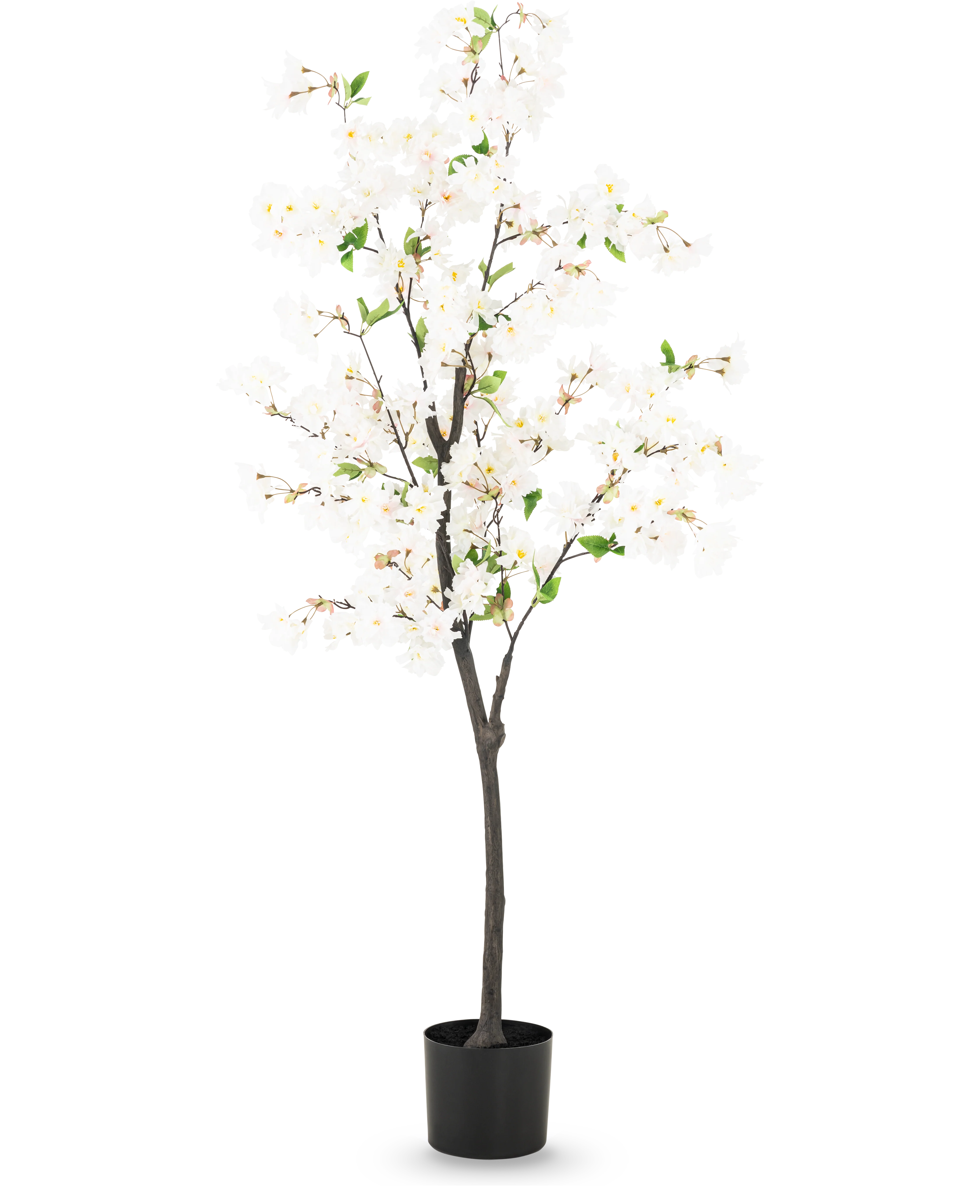 Miniatuur 1