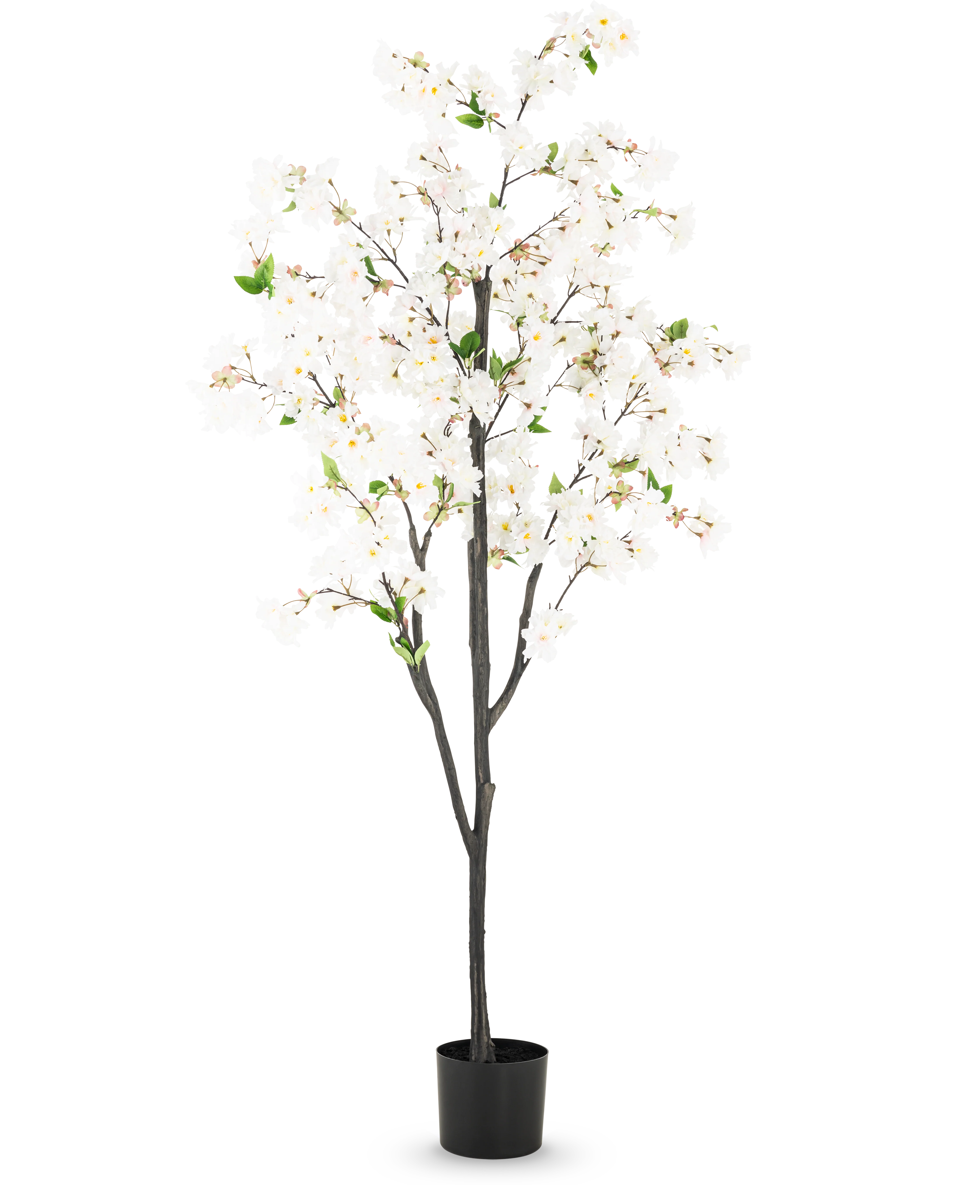Miniatuur 1