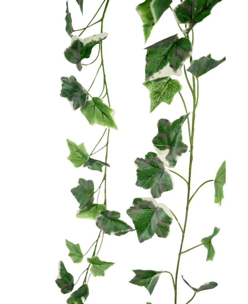 Miniatuur 2