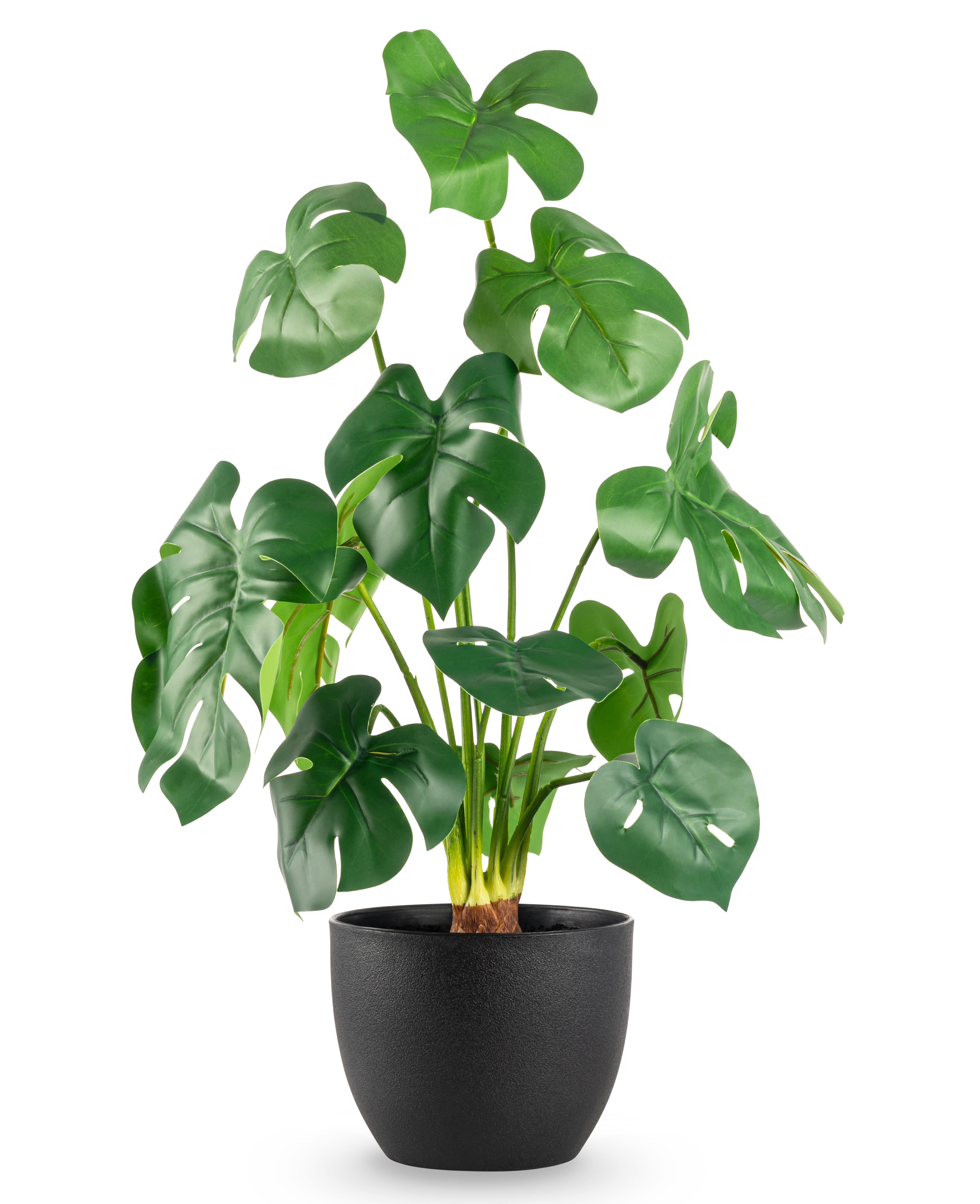 Miniatuur 1