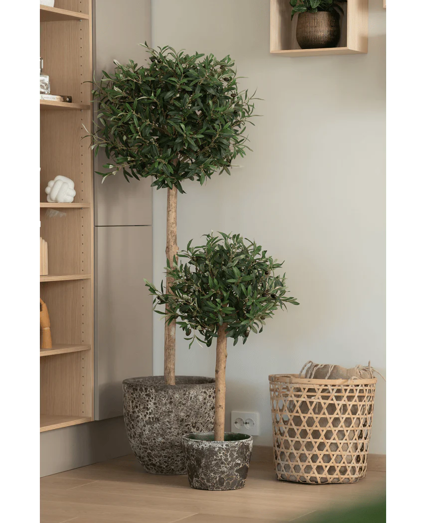 Miniatuur 2