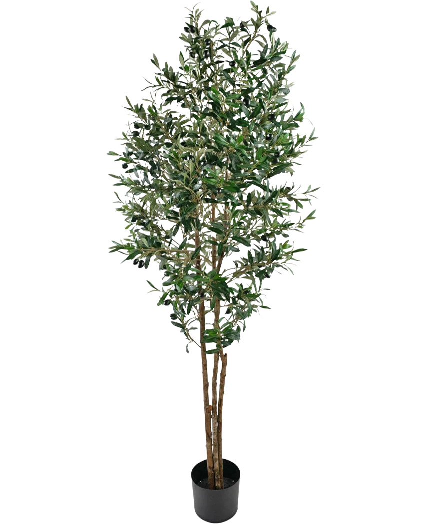 Miniatuur 1