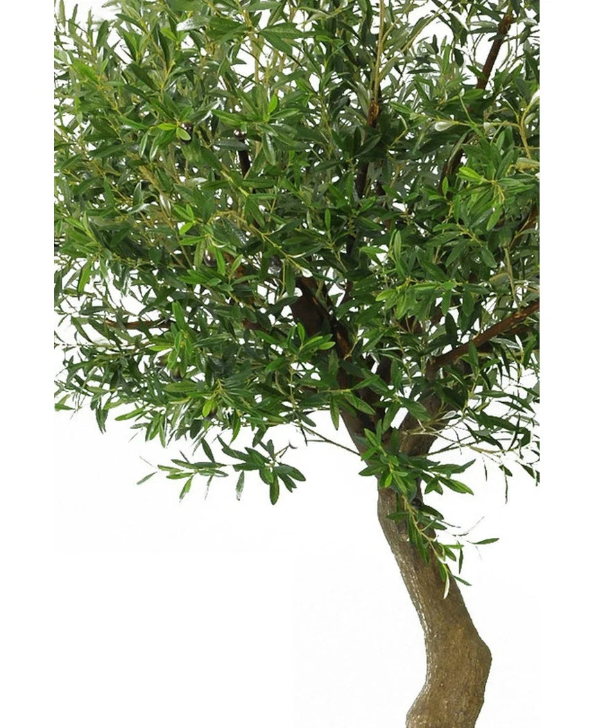 Miniatuur 2