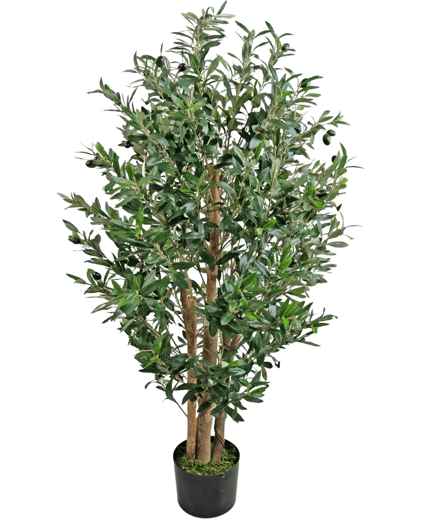 Miniatuur 1