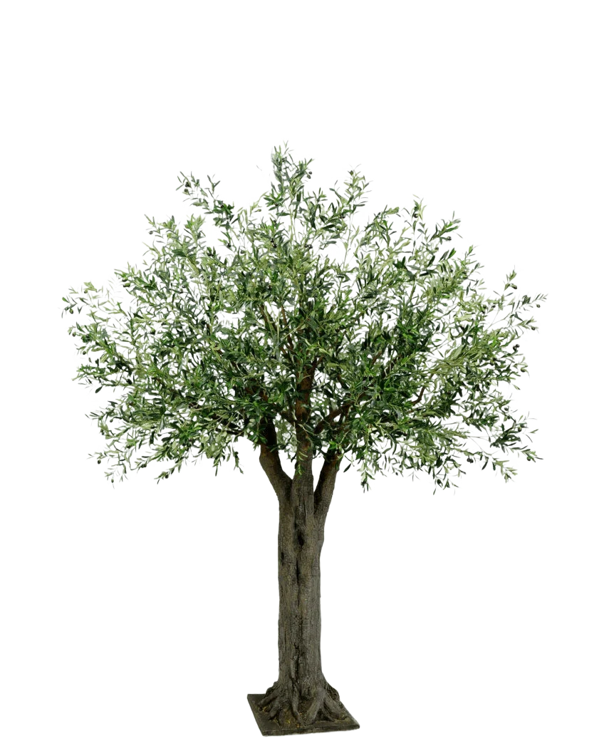 Miniatuur 1