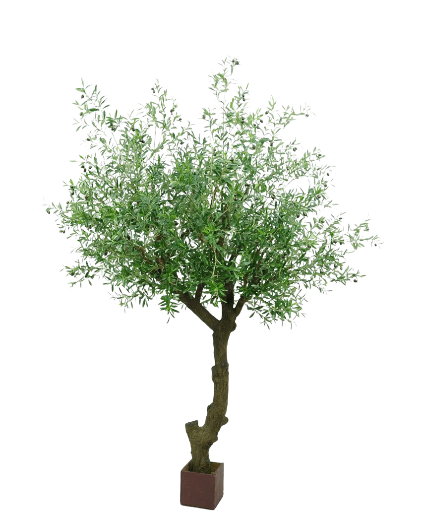Miniatuur 1