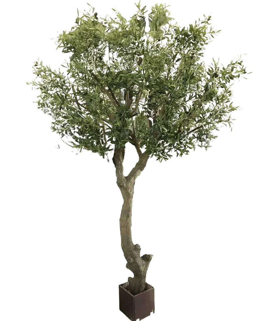 Miniatuur 1