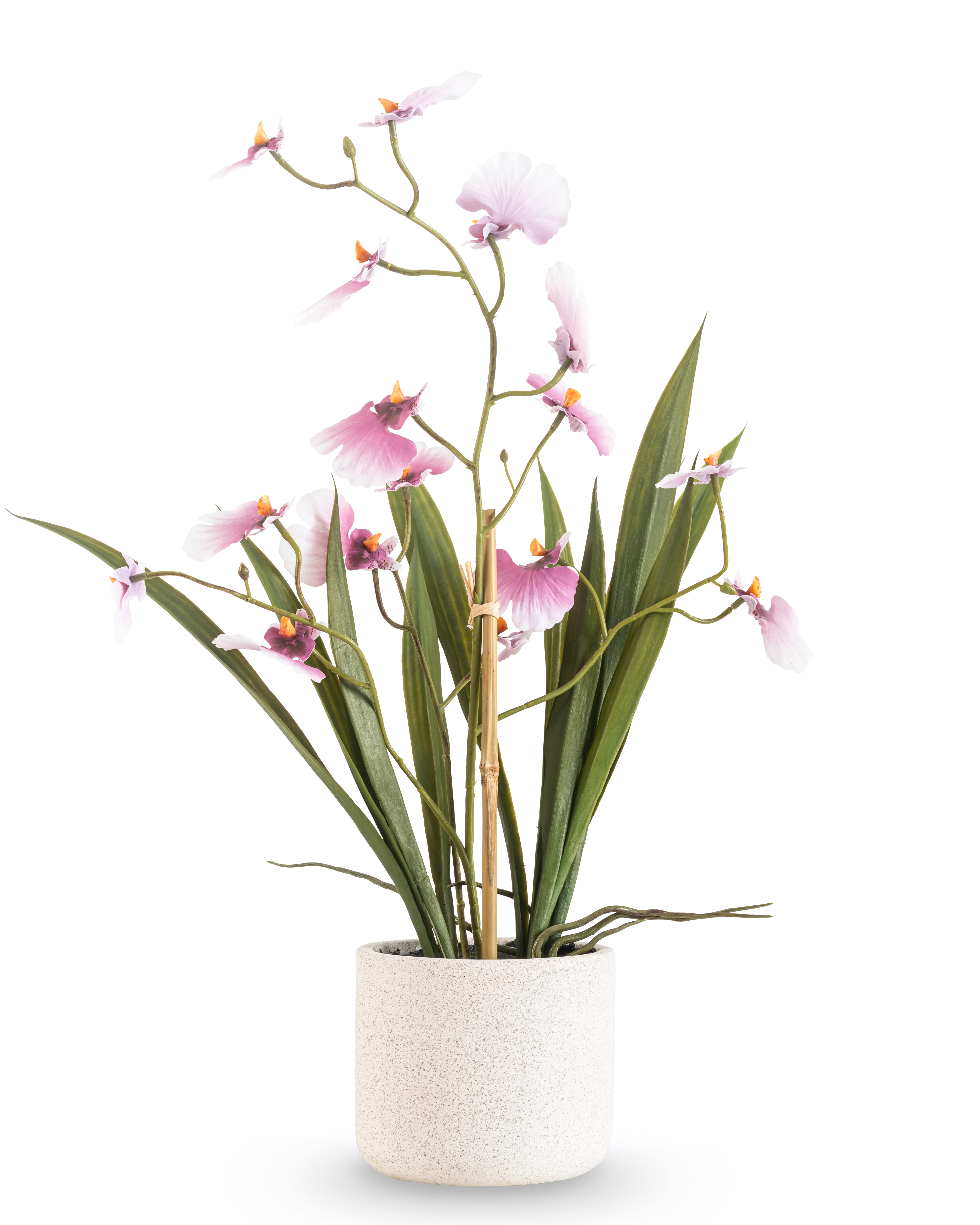 Miniatuur 1