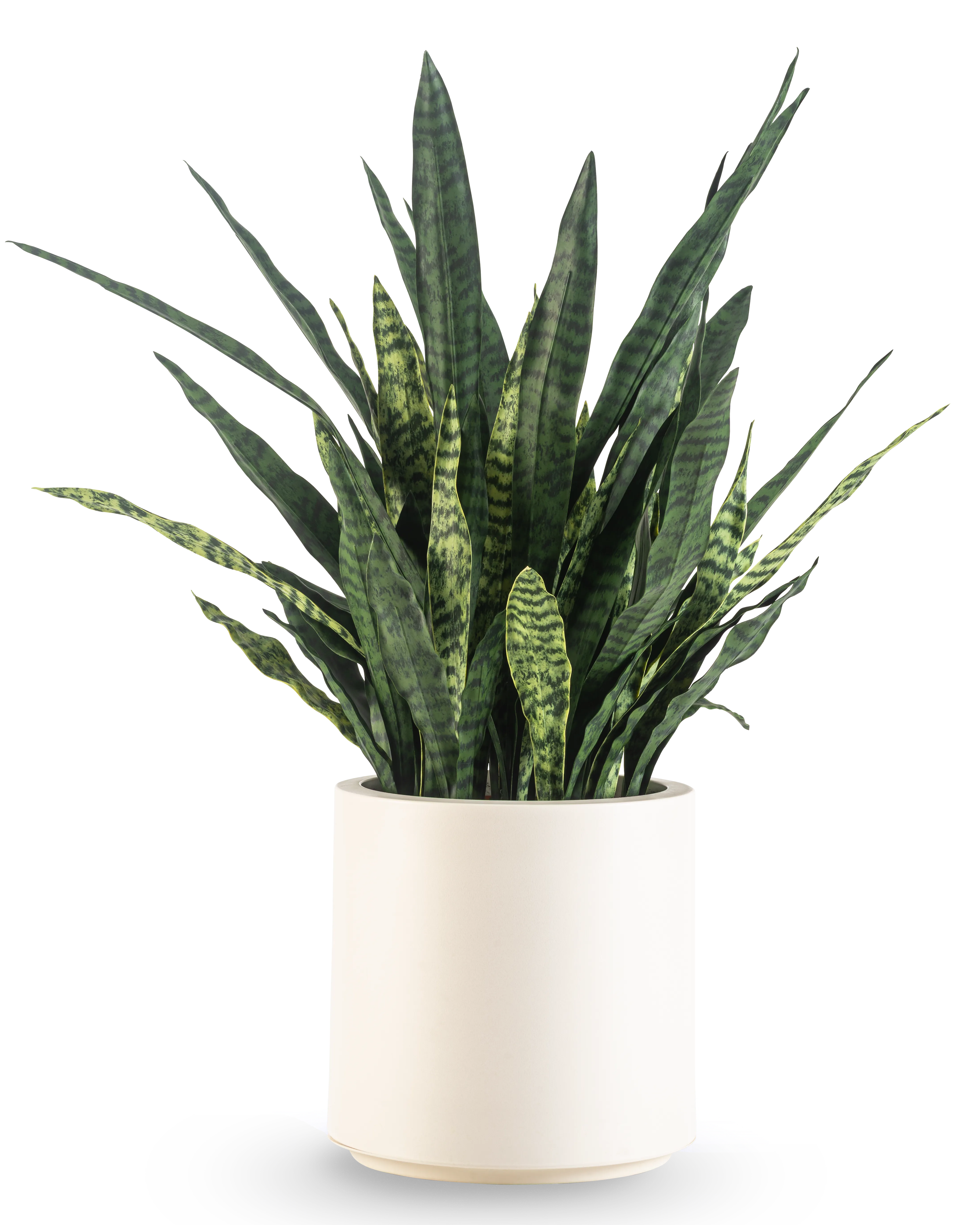 Miniatuur 1