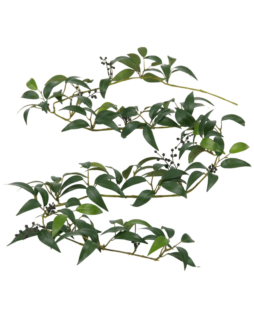 Miniatuur 2