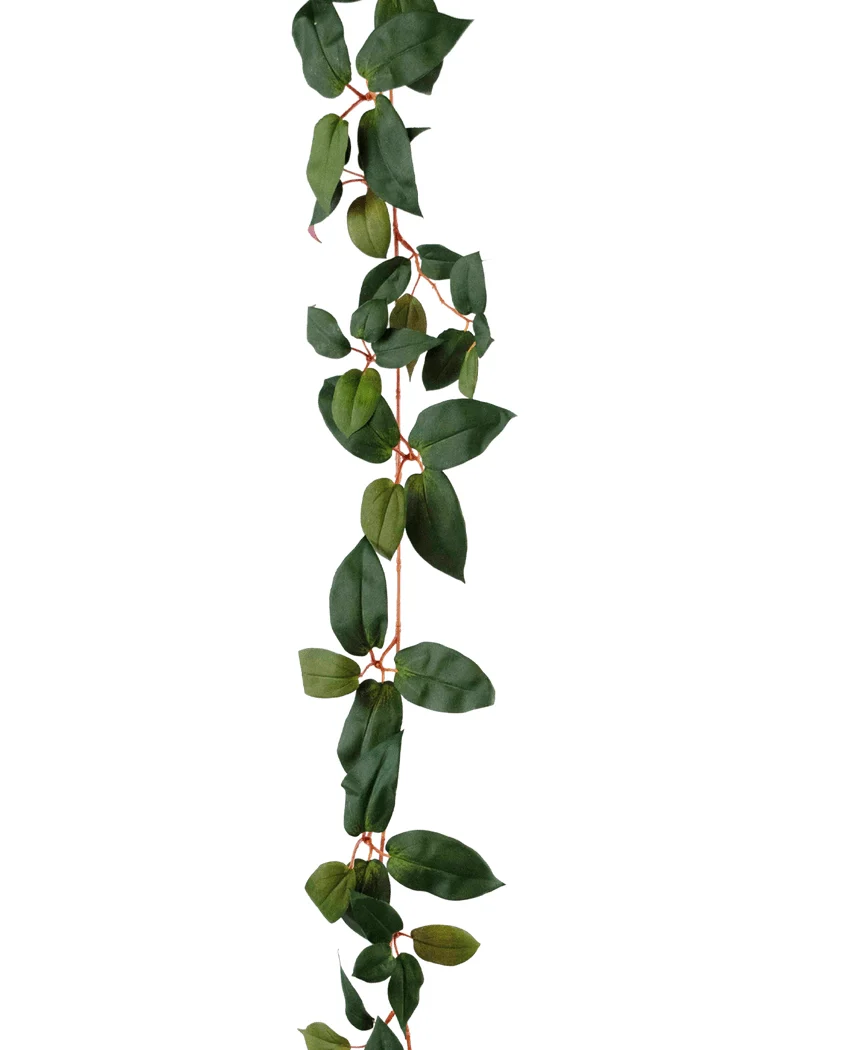 Miniatuur 2