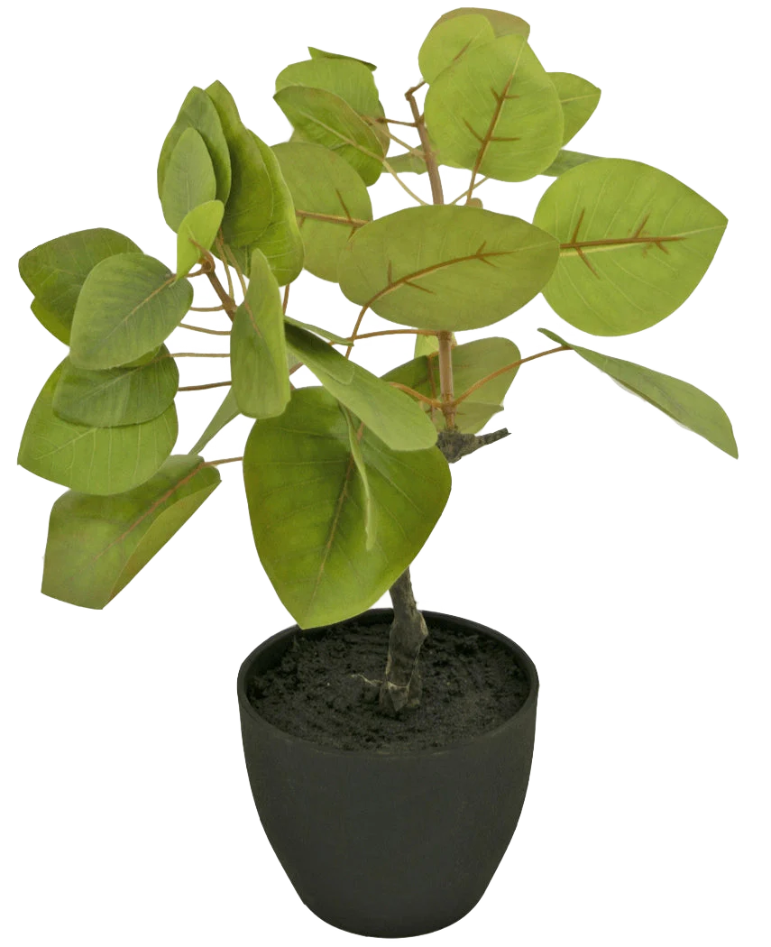 Miniatuur 1
