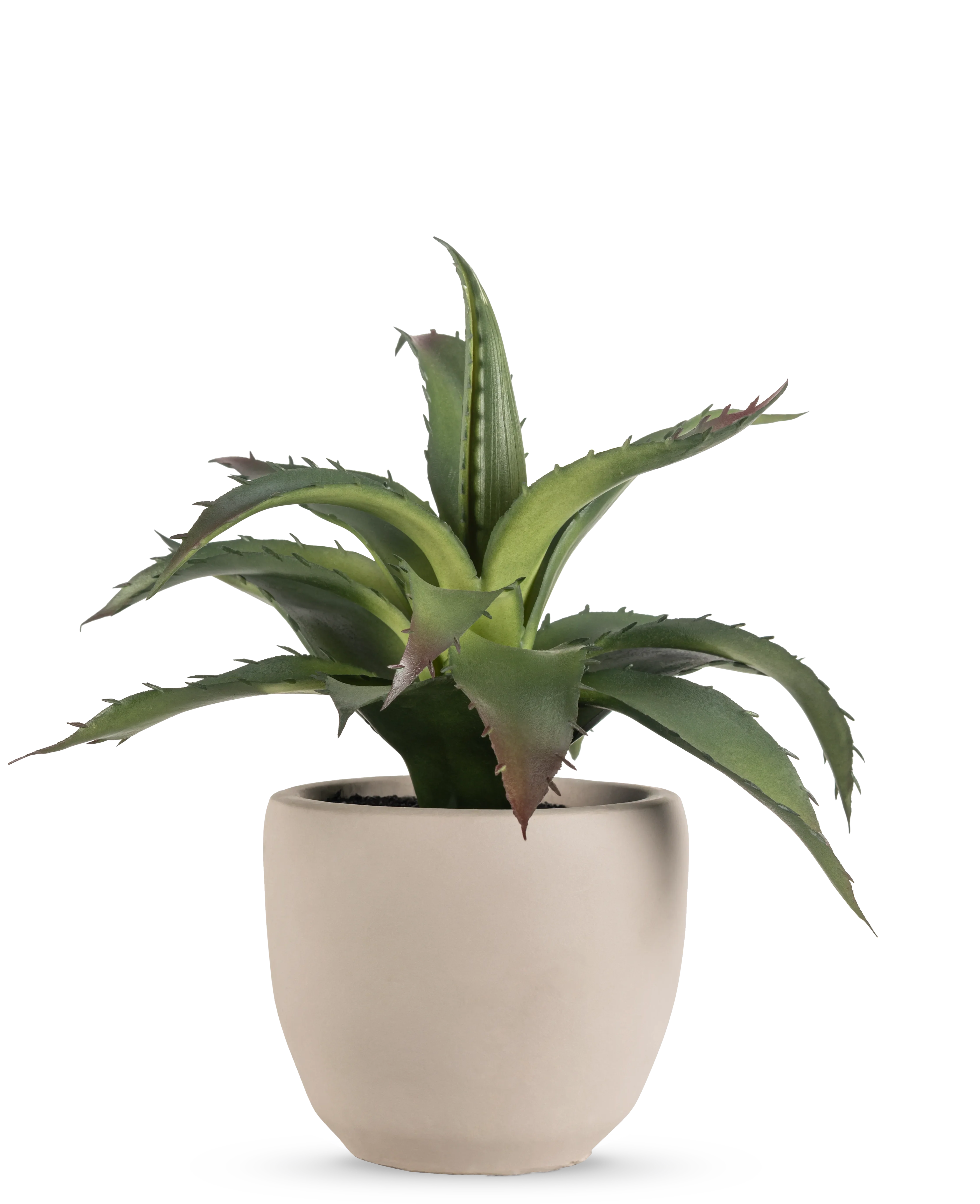 Miniatuur 1