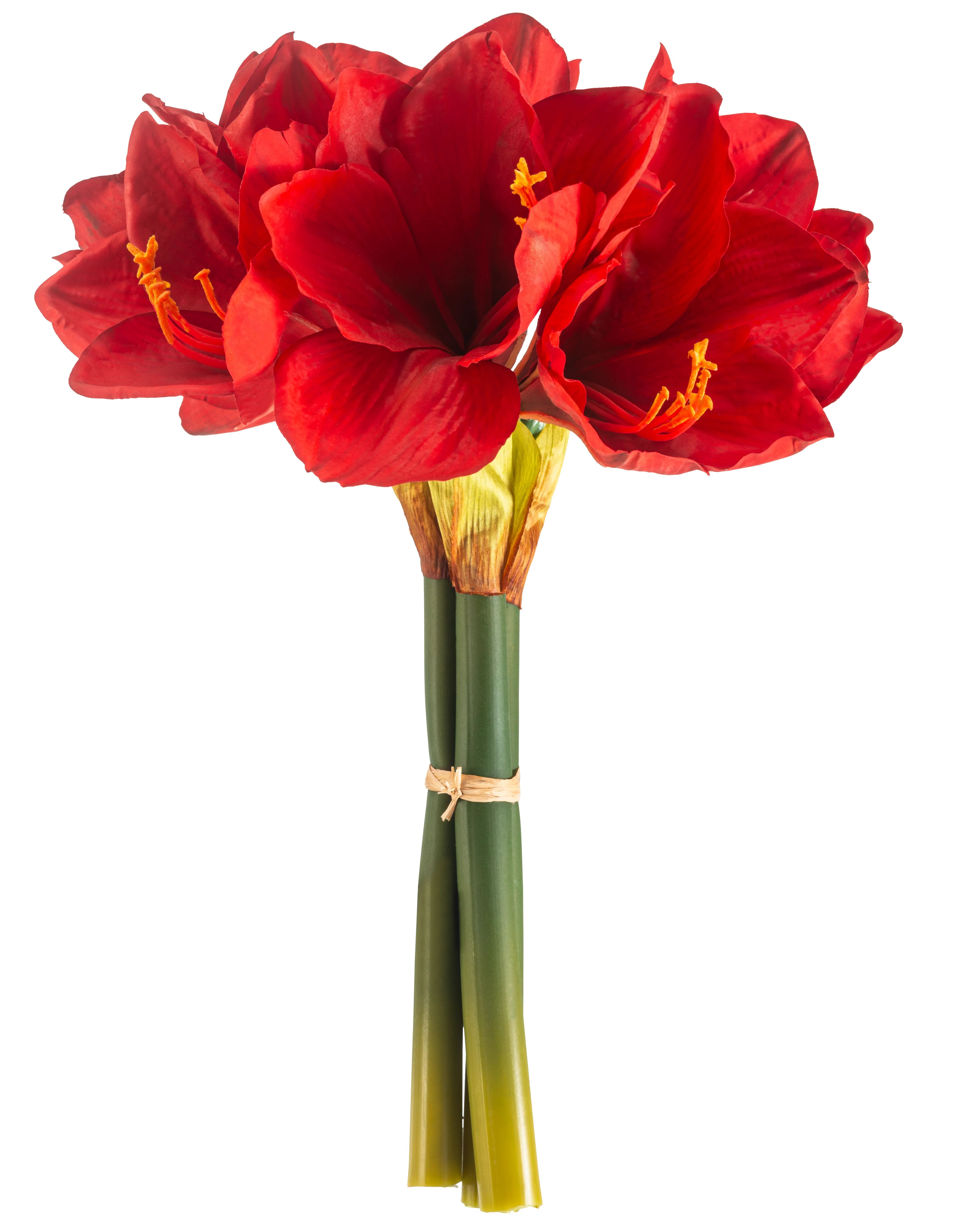 Miniatuur 1