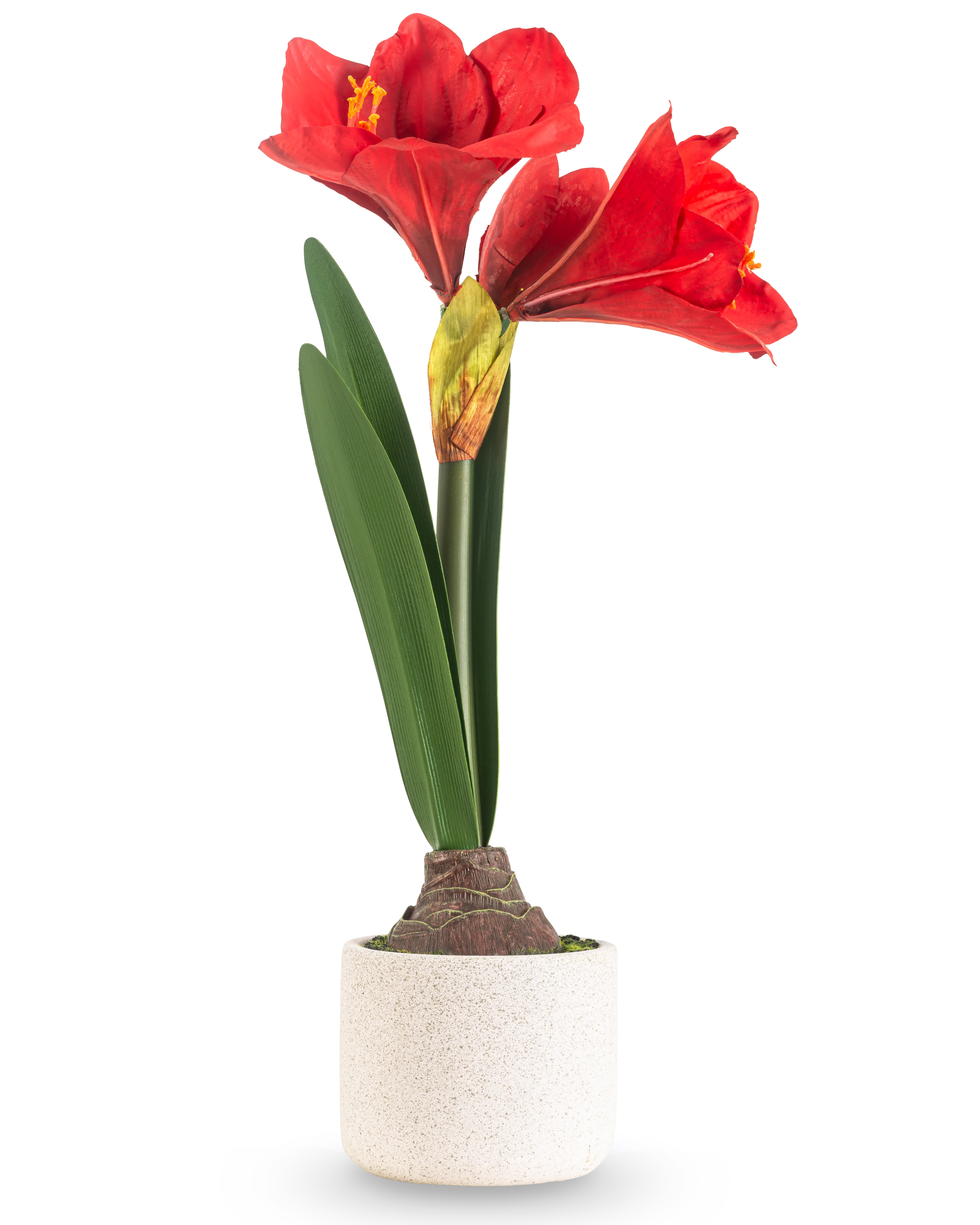 Miniatuur 1