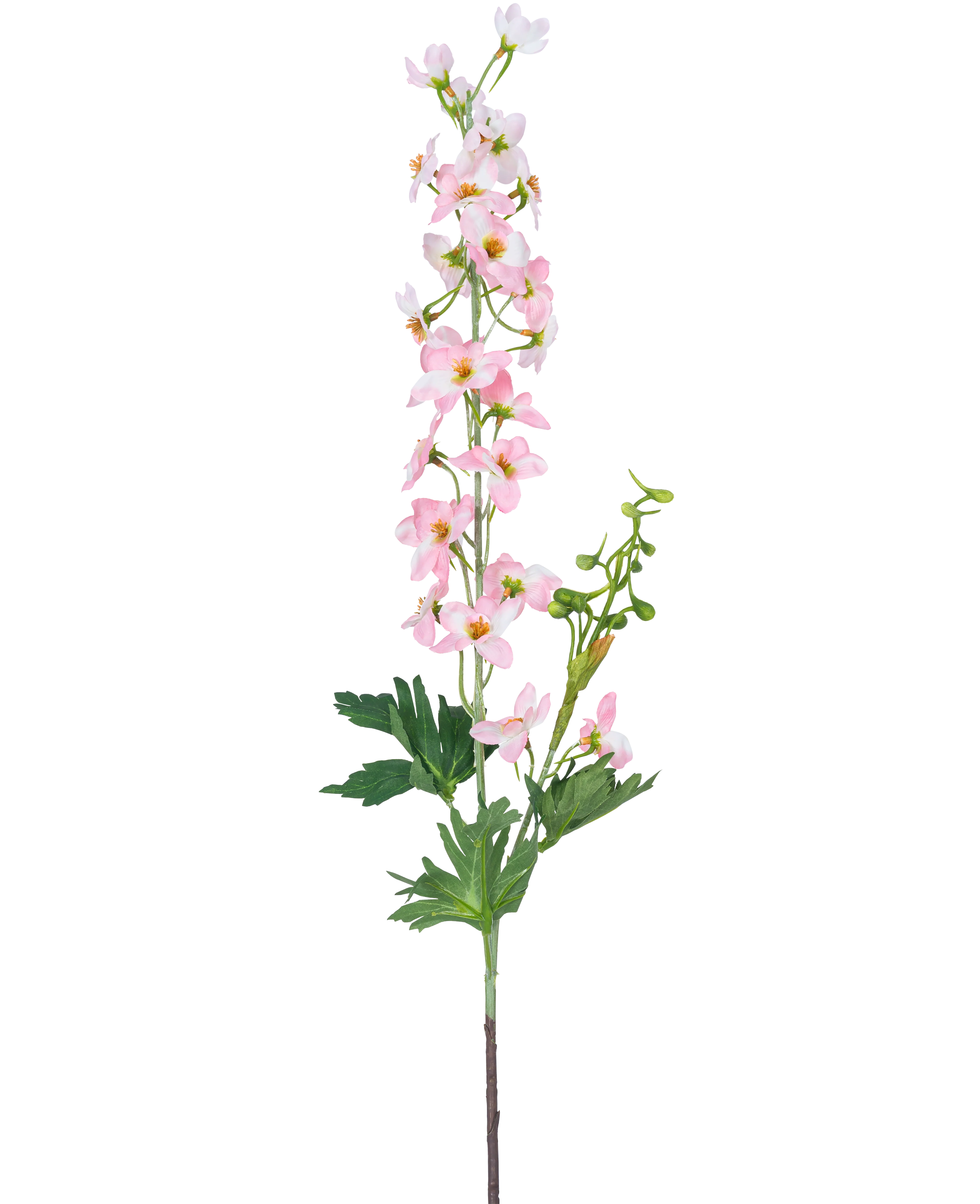 Miniatuur 1