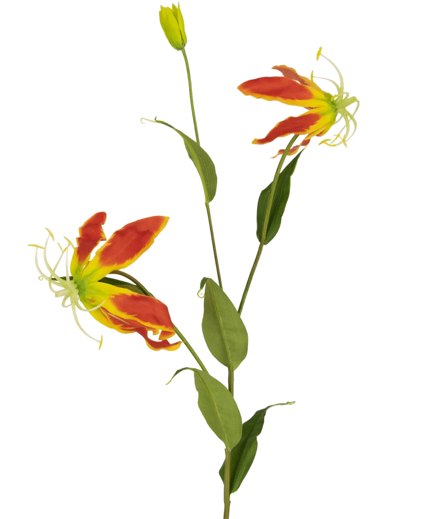 Miniatuur 1