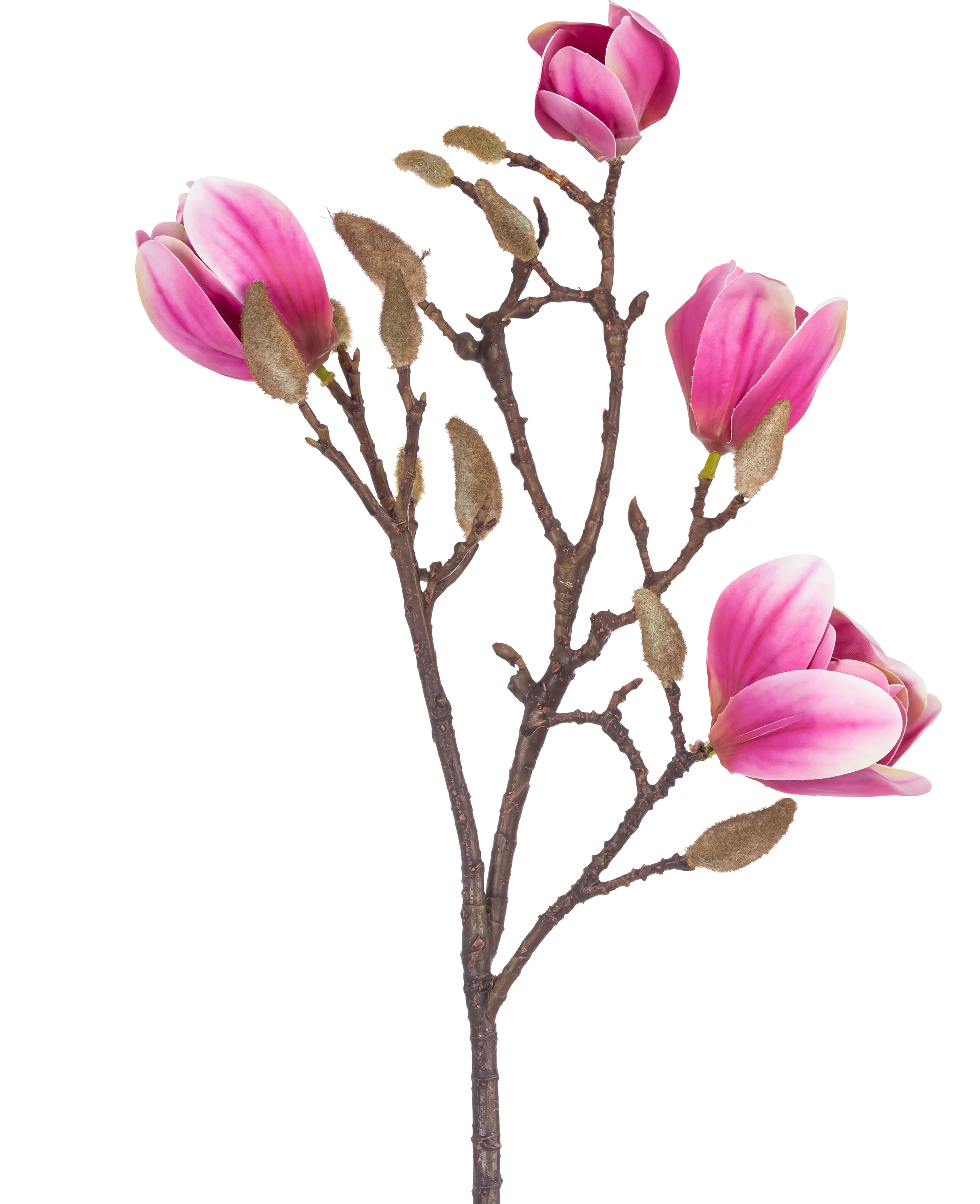 Miniatuur 1