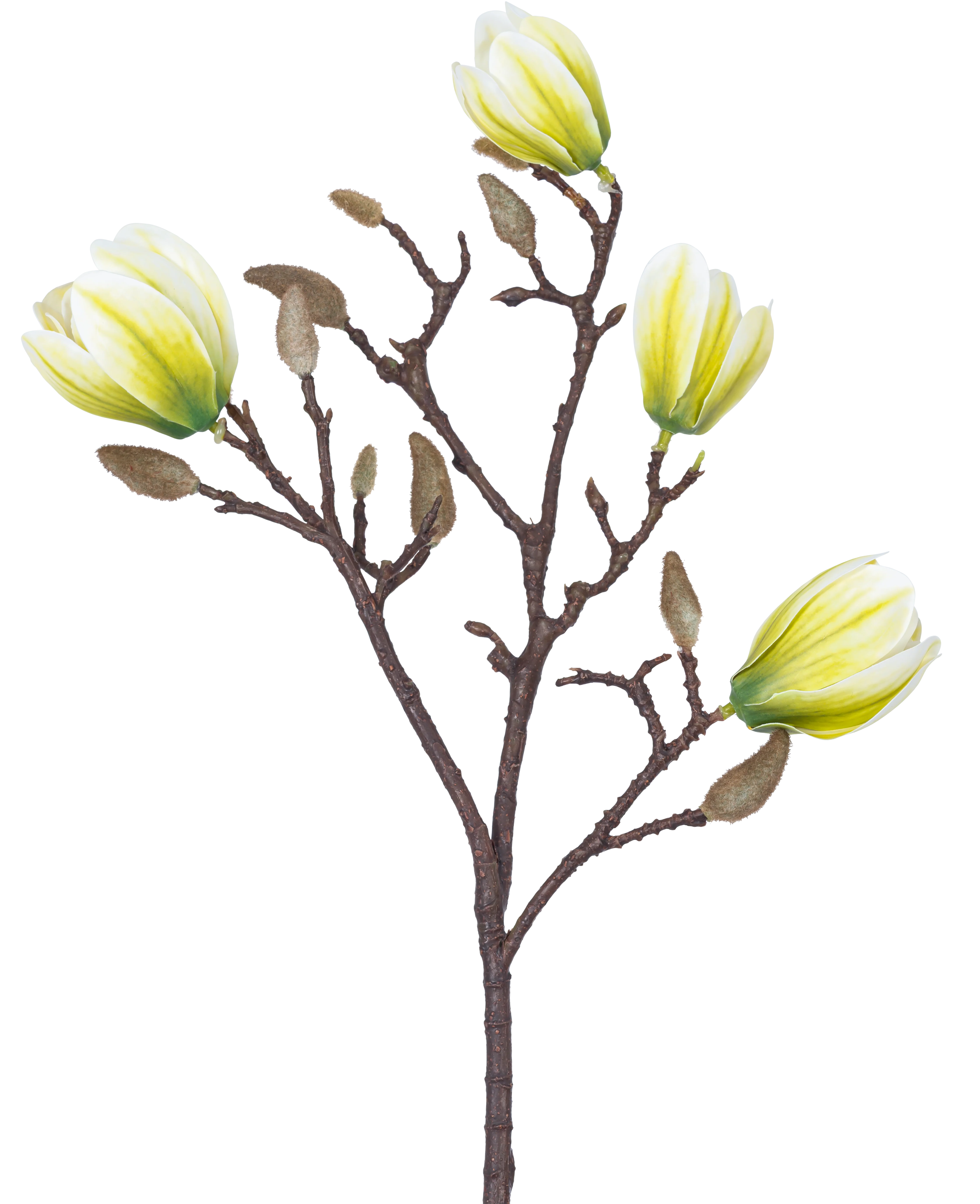 Miniatuur 1