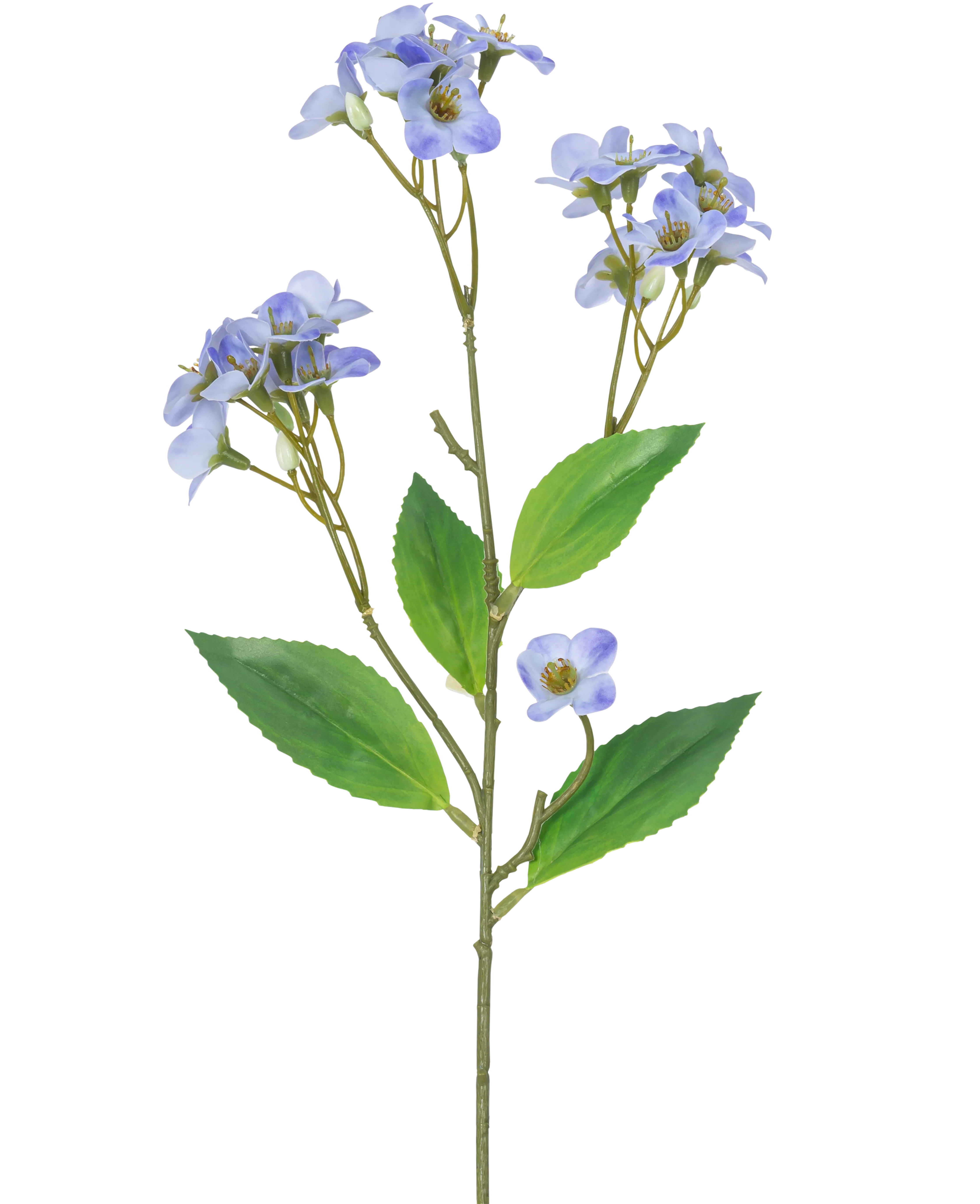 Miniatuur 1