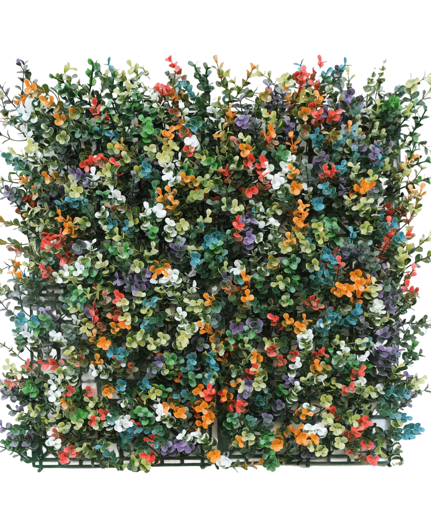 Miniatuur 1