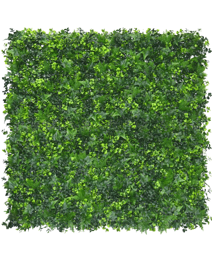 Miniatuur 1