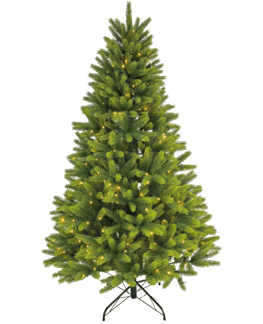 Miniatuur 1