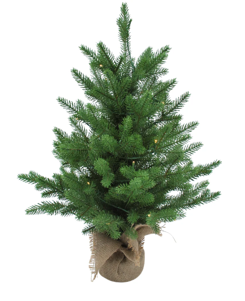 Miniatuur 1