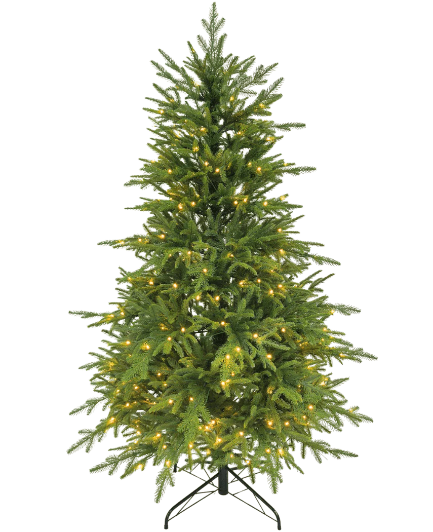 Miniatuur 1