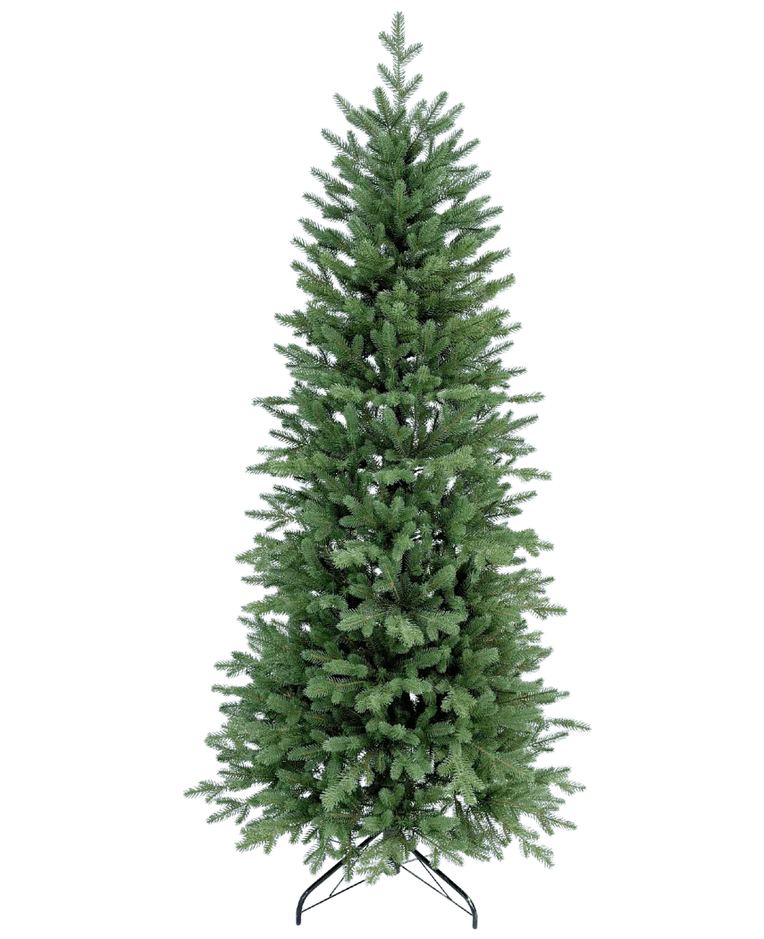 Miniatuur 1