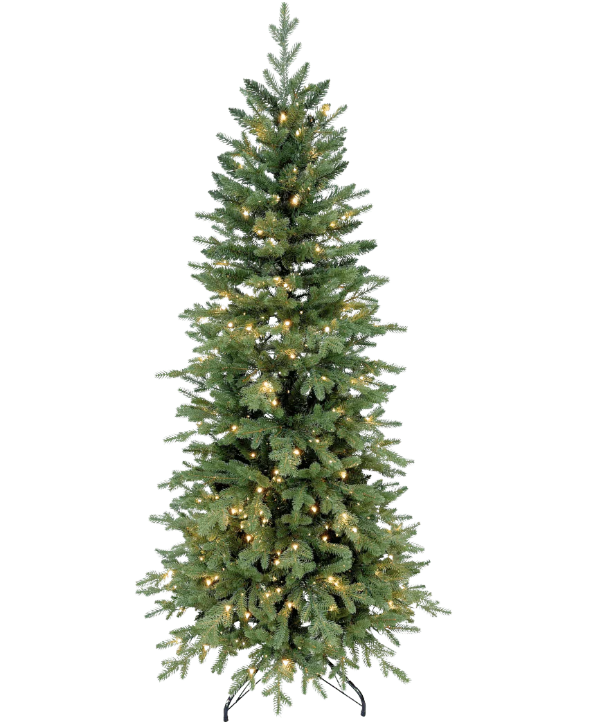 Miniatuur 1