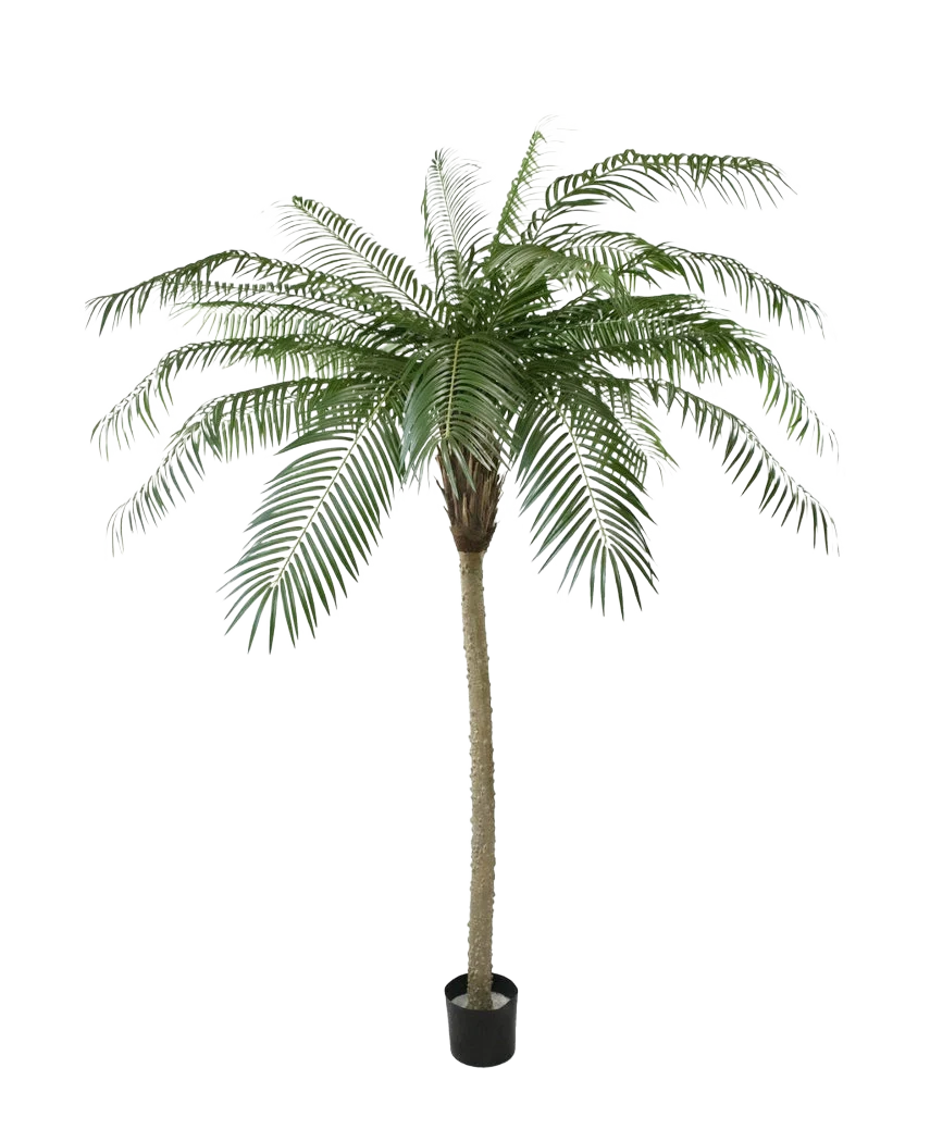 Miniatuur 1