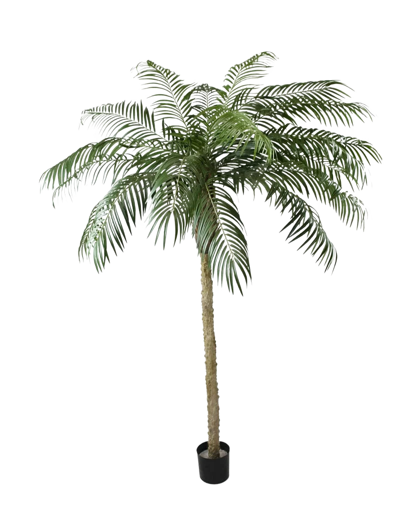Miniatuur 1