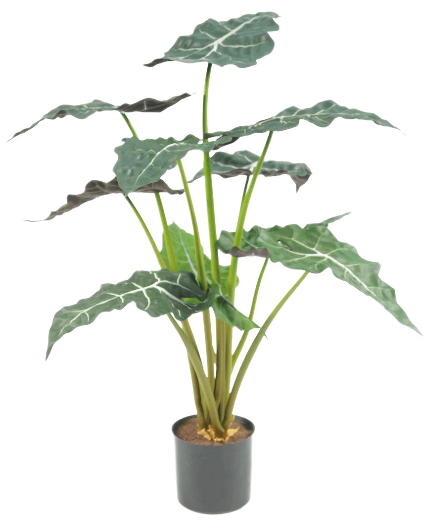 Miniatuur 1