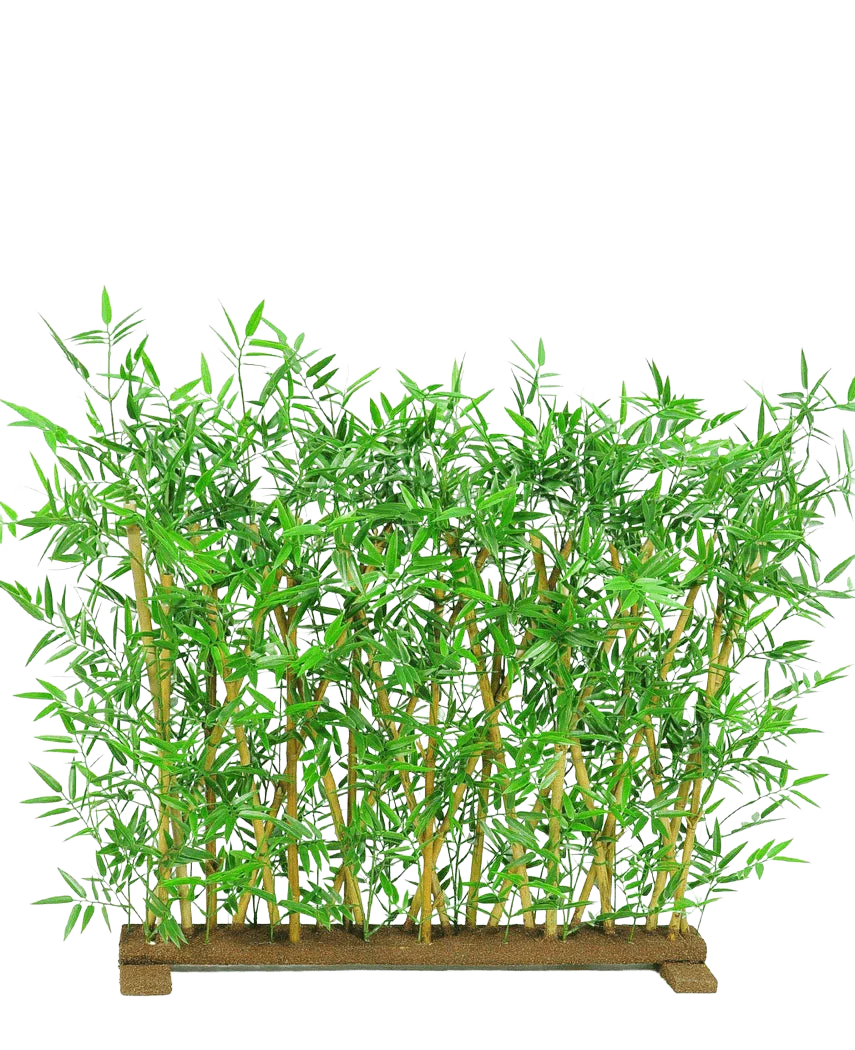 Miniatuur 1