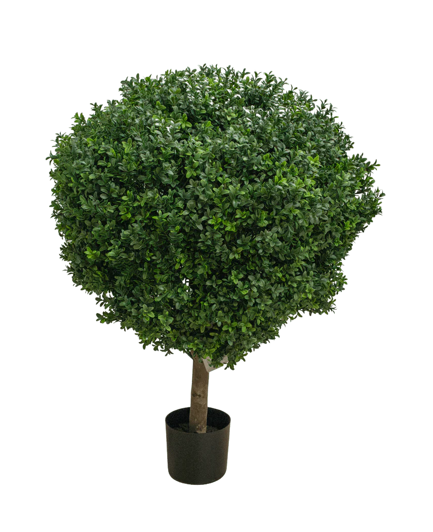 Miniatuur 1